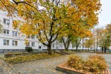 House to Rent - BIELANY OLD HOUSE - Warsaw - Poland