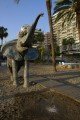 Apartment MEDITERRÁNEO 6 - Marbella - Costa del Sol - Spain