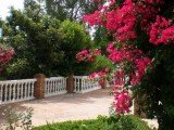 Apartment CORTIJO 8 LUX - Benalmádena - Mijas - Málaga - Costa del Sol - Spain