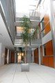 Apartment TRINIDAD - Malaga - Costa del Sol - Spain