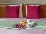 Apartment GRZYBOWSKA LUX - Warsaw - Poland