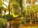 Apartment CABOPINO II - La Reserva de Marbella - Costa del Sol - Spain