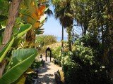 Apartament DON CARLOS PLAYA - Elviria - Marbella - Costa Del Sol - Espania