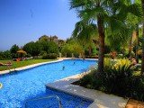 Apartment ALTOS DE LA QUINTA - Nueva Andalucia - Marbella - Costa del Sol - Spain