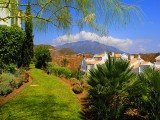 Apartment ALTOS DE LA QUINTA - Nueva Andalucia - Marbella - Costa del Sol - Spain