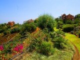 Apartment ALTOS DE LA QUINTA - Nueva Andalucia - Marbella - Costa del Sol - Spain