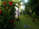 Apartment RANCHO MIRALFORES - Marbella - Costa del Sol - Spain